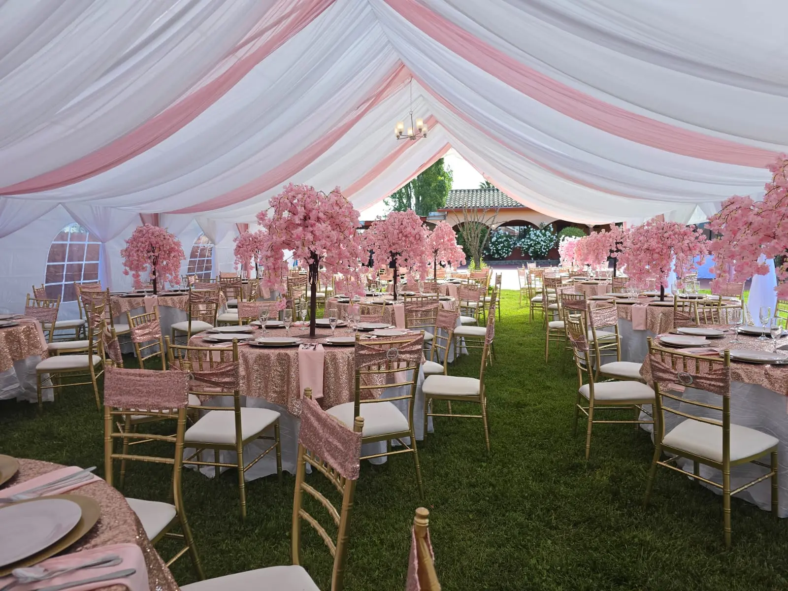 Tents & Draping